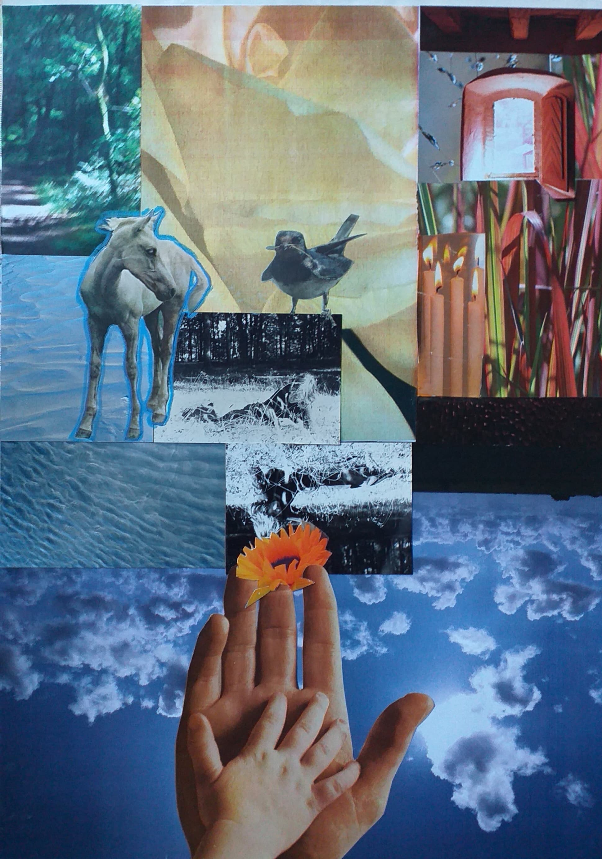 Gallery media #0